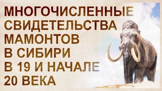 Мамонты недовымерли. Многочисленные свидетельства 19-го и начала 20 века