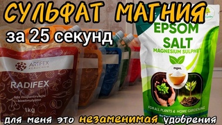 Сульфат Магния за 25 секунд. Применение, дозировка, совместимость, состав, аналоги Сернокислый MgSO4