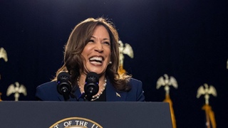 Harris delivers remarks at a sorority event