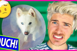 PUPPY GETS SURGERY!