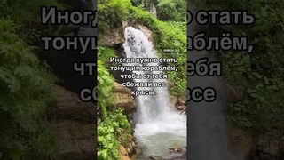 #цитатысосмыслом #словасосмыслом #мудрыецитаты #мудрыеслова #мудрыемысли #цитатадня #мудростьжизни