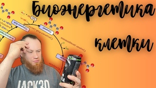 Биоэнергетика клетки с элементами биоэнергетики мышечной ткани: АТФ, гликолиз, КрФ, окисление