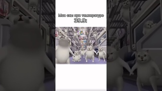 Мои сны при температуре 39.9: #cat #funny #dance #cute #avation #roblox #automobile  #рекомендации