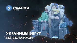 Судьи вспоминают законы / Нехватка медиков / Разгон акции для детей беженцев