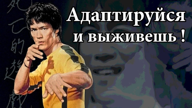 Джит Кун До Лучшая боевая система в Мире для выживания на