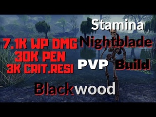 Stamina Nightblade - ESO PVP Build - Blackwood