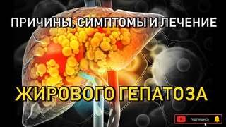 Причины, симптомы, лечение жирового гепатоза.