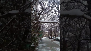 Симферополь вот такое утро У нас пошёл снег погода  зимой в Крыму