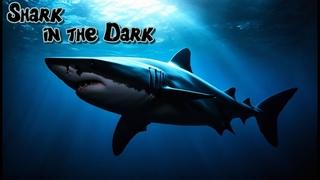 Ost - Shark in the Dark (Official music)