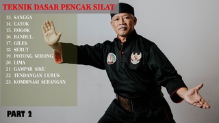 How to learn pencak silat | Basic Silat Techniques PART 2