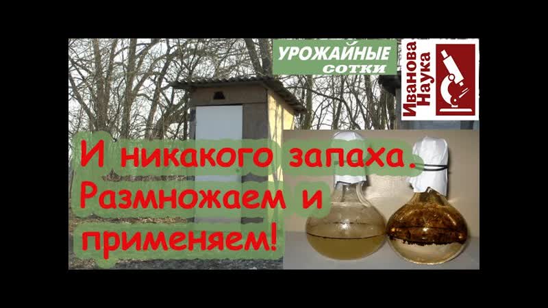 ДАРМОВОЕ домашнее средство от запаха в ТУАЛЕТЕ Размножаем