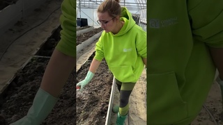 Что делать с теплицей осенью