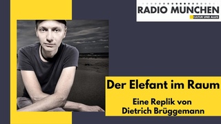 Der Elefant im Raum - wo fngt Diffamierung und Hetze an - eine Replik von Dietrich Brggemann
