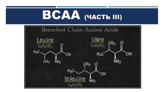 BCAA (ЧАСТЬ III)