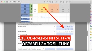Декларация ИП УСН 6% без сотрудников за 2023 год с учетом страховых взносов ОБРАЗЕЦ ЗАПОЛНЕНИЯ