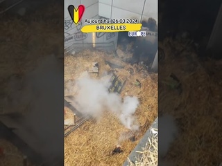 🇪🇺 . Brüssel - die Bauern kämpfen gegen den EU-Verschissmus! #AfD #Querdenken #Bauernproteste