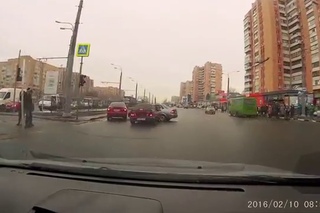 Хвостатый провокатор