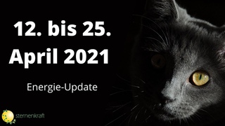 Lichter in der Dunkelheit  Energie-Update von 12. bis 25. April 2021