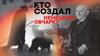 Немецкая Овчарка. Кто создал эту породу Who created the German Shepherd