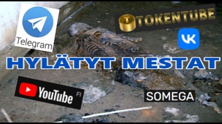 Hyltyt Mestat Einon rauniot UE 20