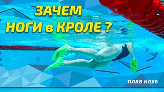 Зачем пловцу ноги Кроль по полкам от Юрия Сарамутина.