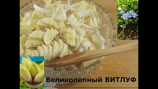 Серия “Будьте здоровы!“ А что готовят из салатного цикория в самой Бельгии, открывшей миру ВИТЛУФ?