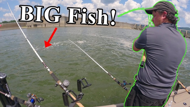 It Took Us All Day Long Of Exploring To Catch These Huge Blue