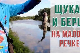 Щука и берш на малой речке