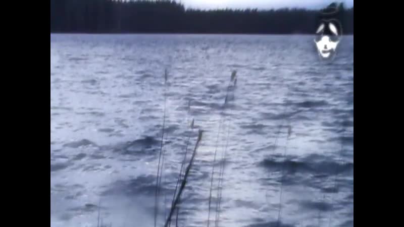 YABUJIN HARDSTYLE DRILL 2009 NOKIA ANGELZ مسدسات مجمدة 1.