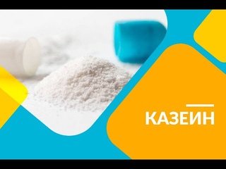 Синтез Протеина и Казеин - Исследования 2020г