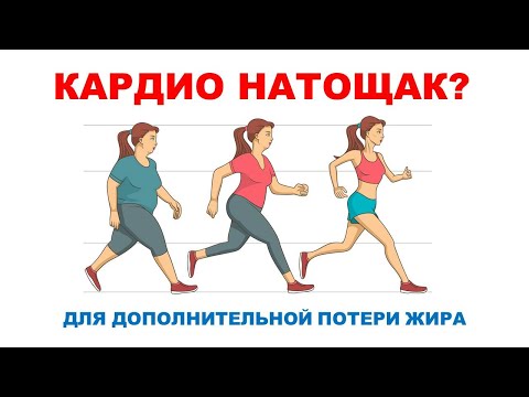 КАРДИО НАТОЩАК ускоряет потерю жира , Обзор
