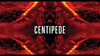 MUTUM / CENTIPEDE (Official Video)
