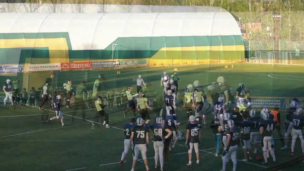 HOGS vs