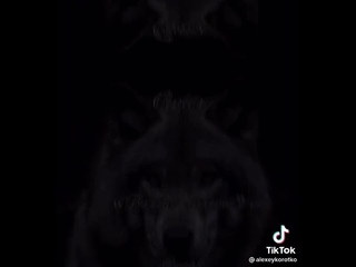 Волчья месть...