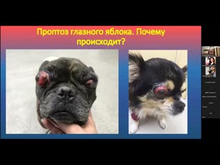 Первая помощь при ургентных состояниях в офтальмологии