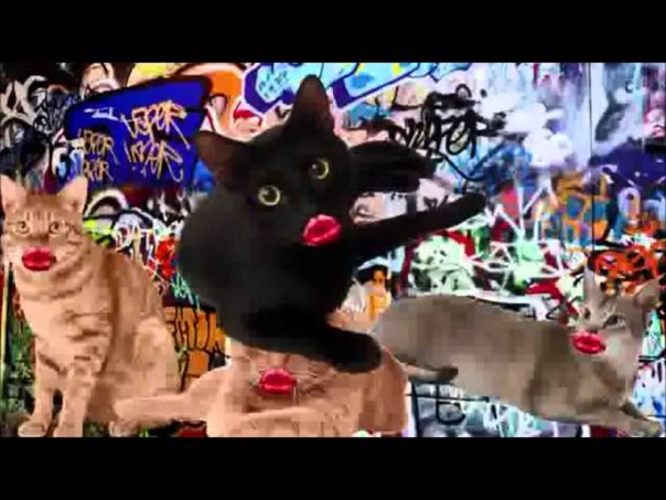 Pussy Lips: Game Grumps