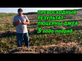 1-серия. Скошенная люцерна Джеа - Gea (23-05-2018, 3 сезон, посев 2016 год)