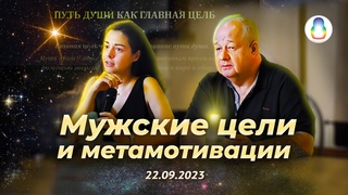 Доклад Мужские цели и метамотивации