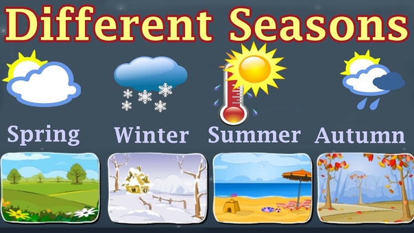 Learn About Autumn, Winter, Spring,
