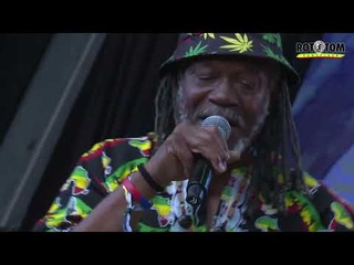 HORACE ANDY & Dub Asante Band live @Main Stage 2022
