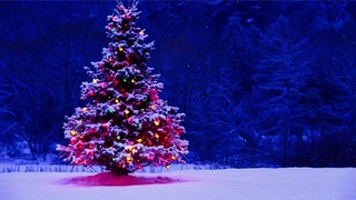 Ed Sheeran & Elton John - Merry Christmas 1 Hour Loop - High Quality