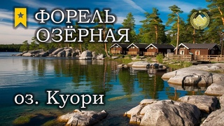 оз. Куори  Форель озёрная  Русская рыбалка 4