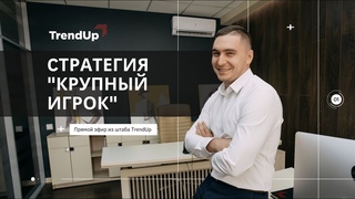 Стратегия торговли на бирже “КРУПНЫЙ ИГРОК“