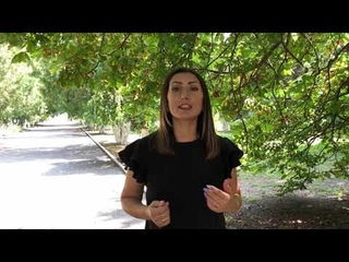 Ко дню освобождения Матвеева-Кургана от немецко-фашистских захватчиков.