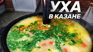 КАК ПРИГОТОВИТЬ ДВОЙНУЮ ДОНСКУЮ УХУ С ПОМИДОРАМИ В КАЗАНЕ НА КОСТРЕ