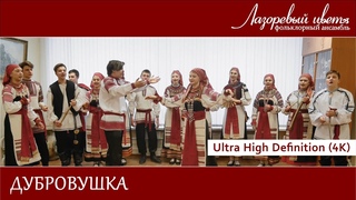 Дубровушка (Лазоревый цвет)