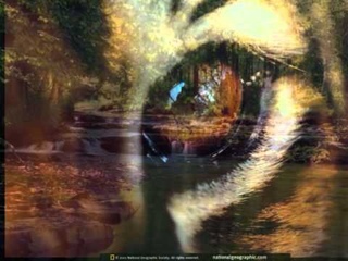 Γ.ΝΤΑΛΑΡΑΣ- ΕΦΤΑ ΦΟΡΕΣ .wmv