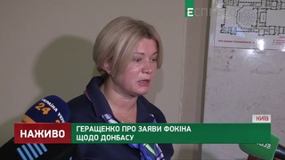 Геращенко: Заяви Фокіна, Сивохо, Тарана   це все каша в голові Зеленського