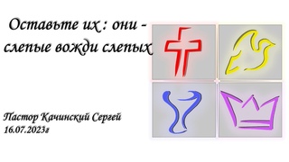 Оставьте их : они - слепые вожди слепых | Качинский Сергей |