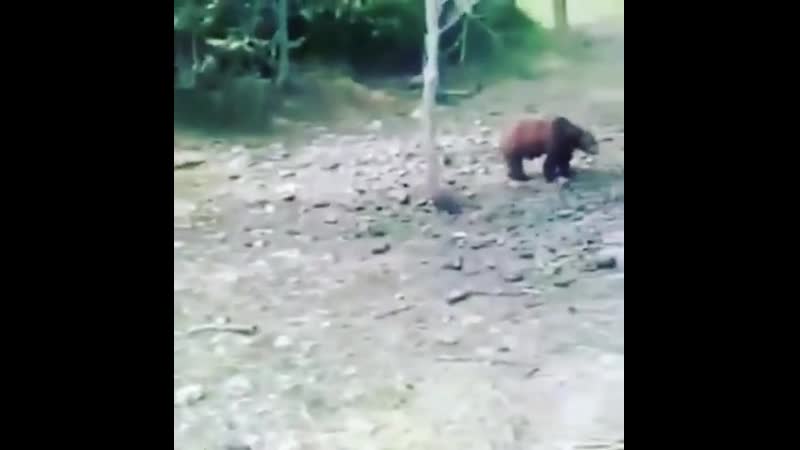 куча